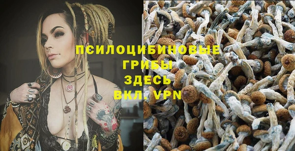 гидропоника Кукмор