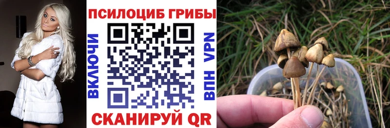 Галлюциногенные грибы мухоморы  Купить закладки  Мезень 